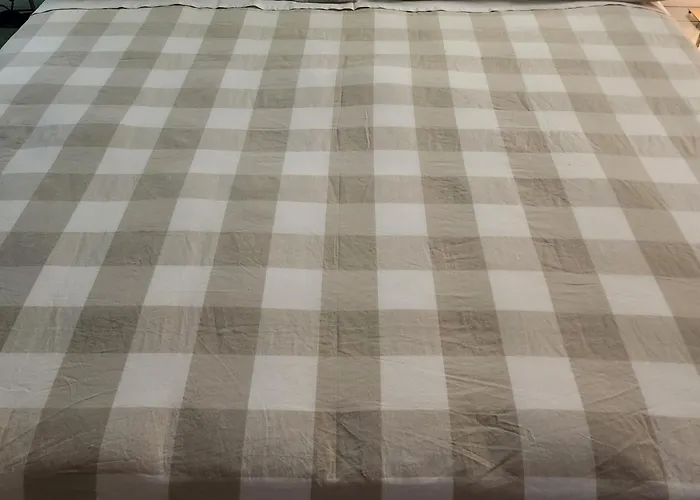 Babuinorooms56 Pensión